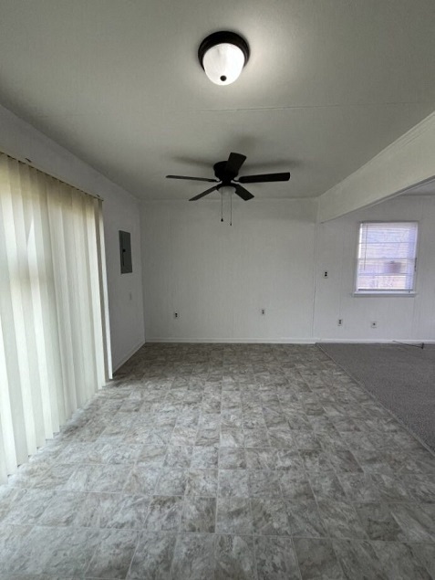 Gallery Photo 3